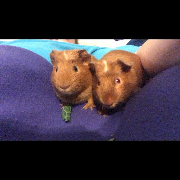 Mother, Daughter, Friend, Paraplegic, & Posher!! - Picture 4 of 4